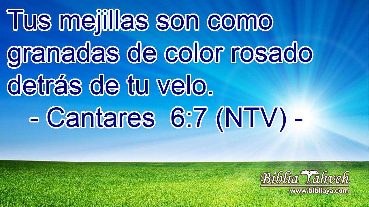 Tus mejillas son como granadas de color rosado detrás de tu velo.