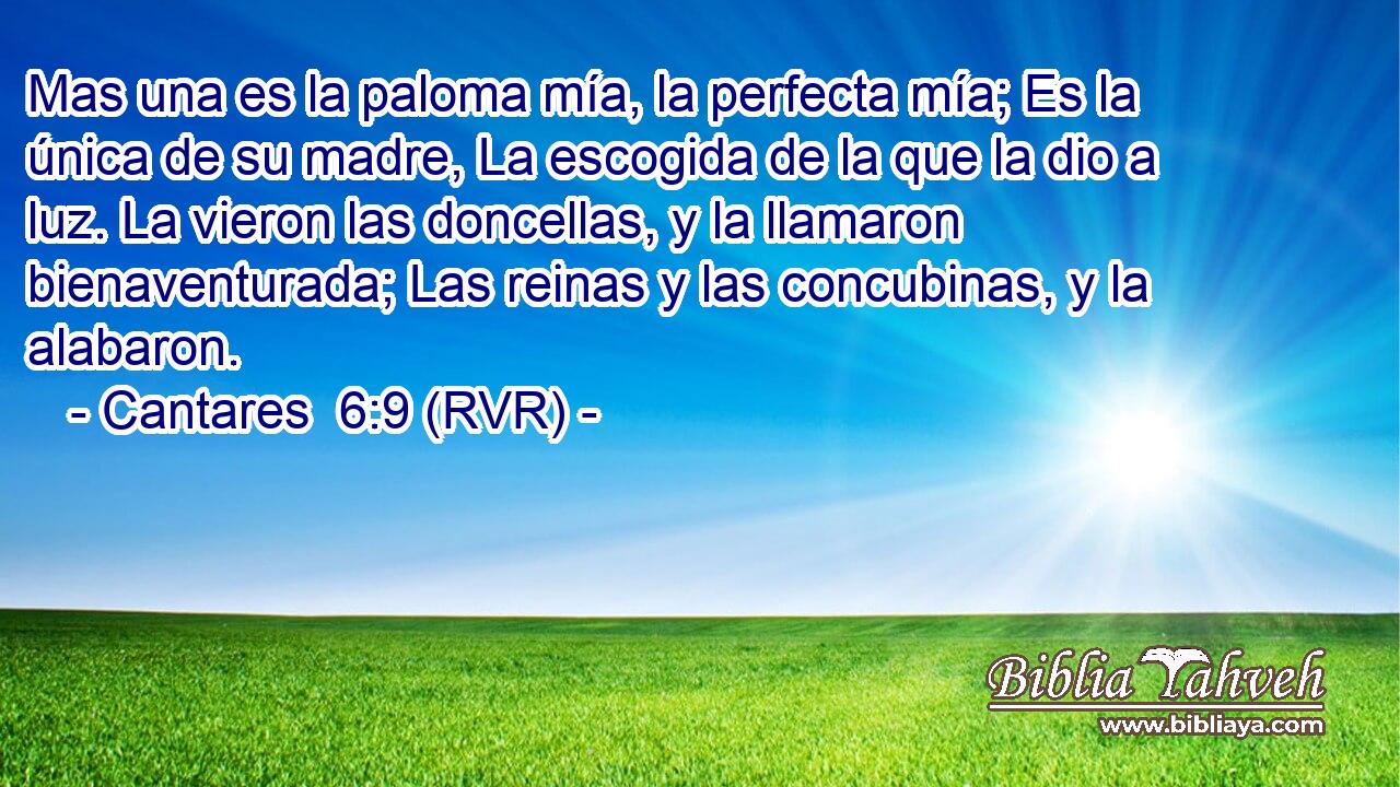 Mas una es la paloma mía, la perfecta mía; Es la única de su madre, La escogida de la que la dio a luz. La vieron las doncellas, y la llamaron bienaventurada; Las reinas y las concubinas, y la alabaron.