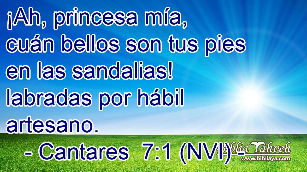  ¡Ah, princesa mía, cuán bellos son tus pies en las sandalias! labradas por hábil artesano. 