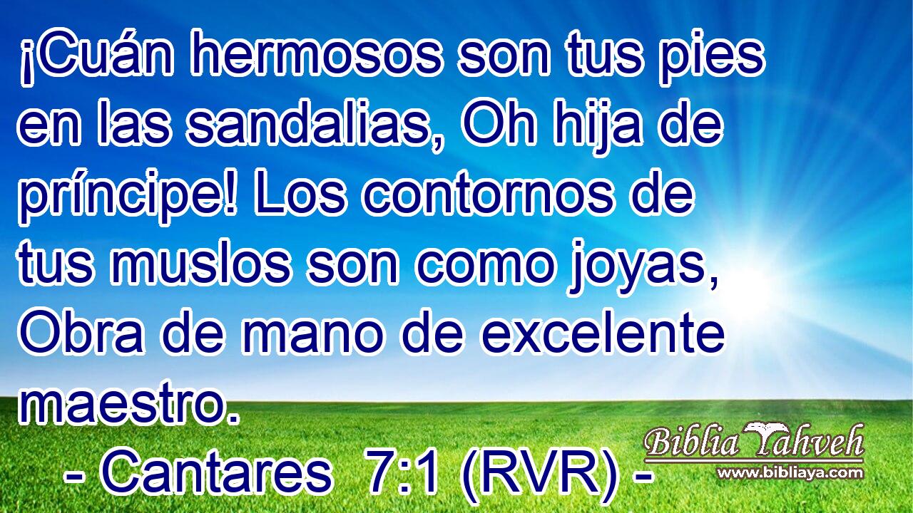 ¡Cuán hermosos son tus pies en las sandalias, Oh hija de príncipe! Los contornos de tus muslos son como joyas, Obra de mano de excelente maestro.