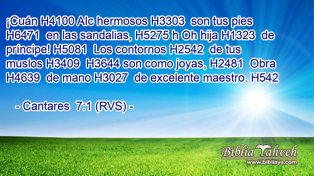 ¡Cuán H4100 AIc hermosos H3303  son tus pies H6471  en las sandalias, H5275 h Oh hija H1323  de príncipe! H5081  Los contornos H2542  de tus muslos H3409  H3644 son como joyas, H2481  Obra H4639  de mano H3027  de excelente maestro. H542  