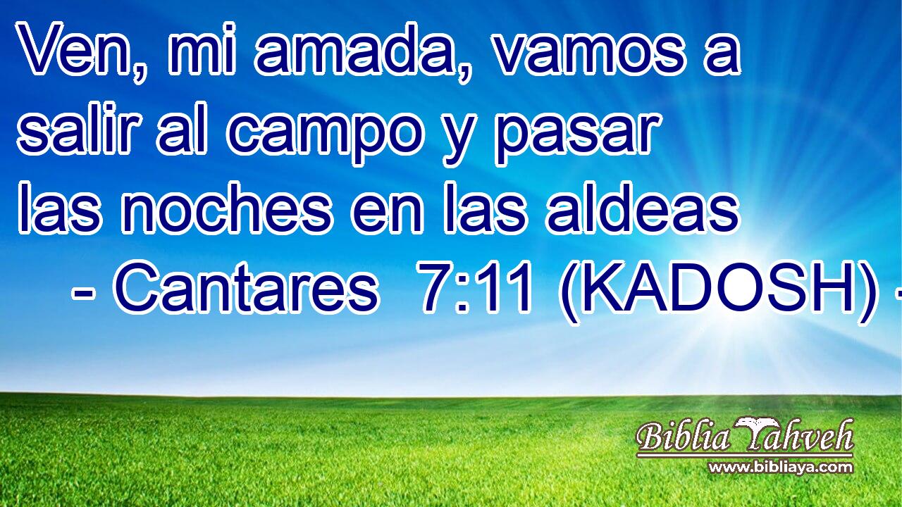  Ven, mi amada, vamos a salir al campo y pasar las noches en las aldeas 