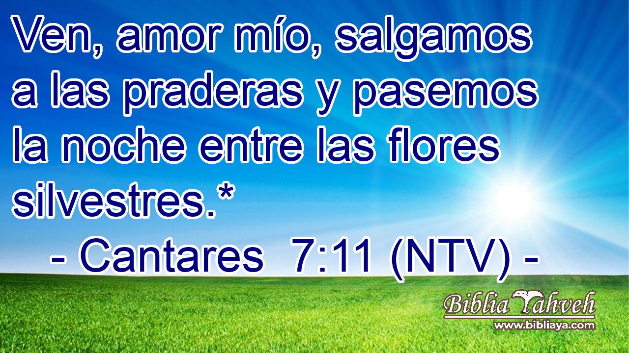 Ven, amor mío, salgamos a las praderas y pasemos la noche entre las flores silvestres.*