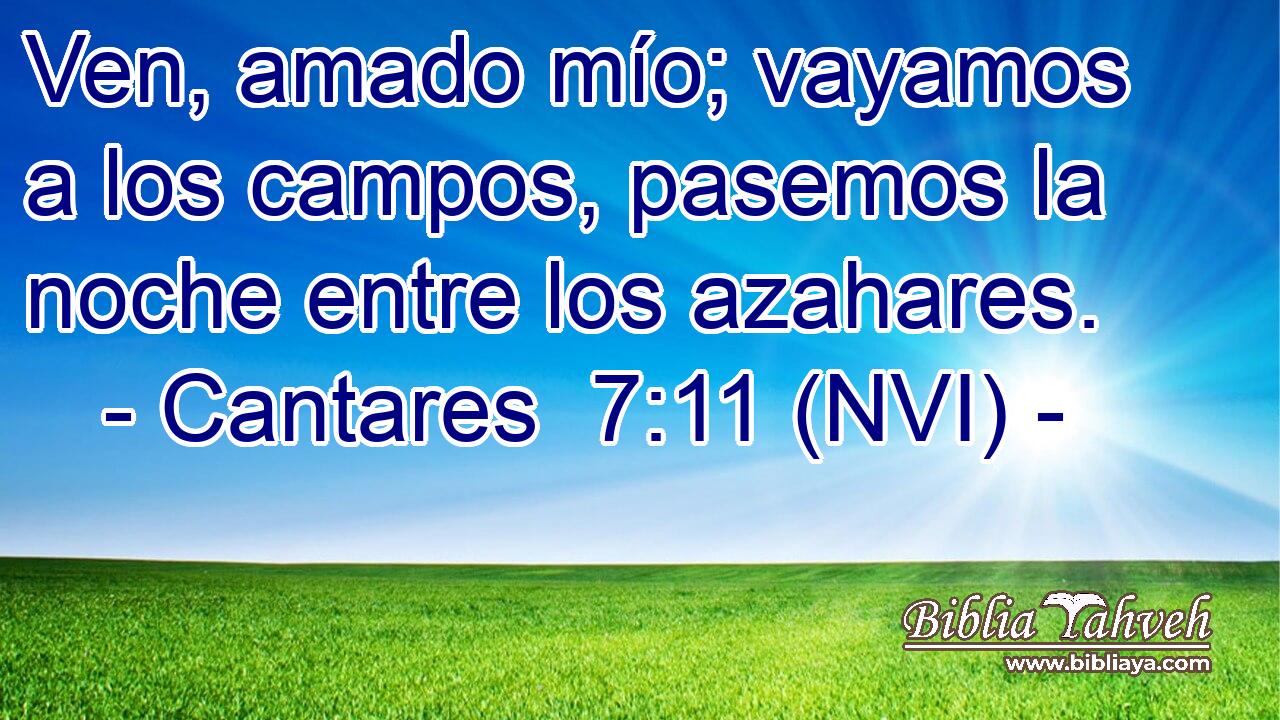  Ven, amado mío; vayamos a los campos, pasemos la noche entre los azahares. 