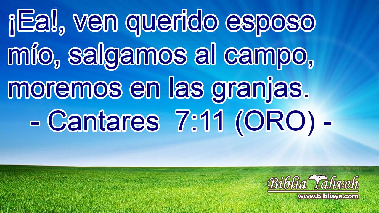  ¡Ea!, ven querido esposo mío, salgamos al campo, moremos en las granjas. 