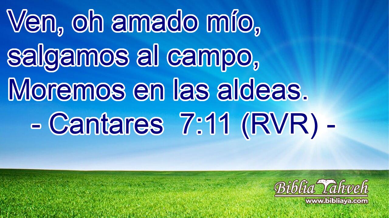 Ven, oh amado mío, salgamos al campo, Moremos en las aldeas.
