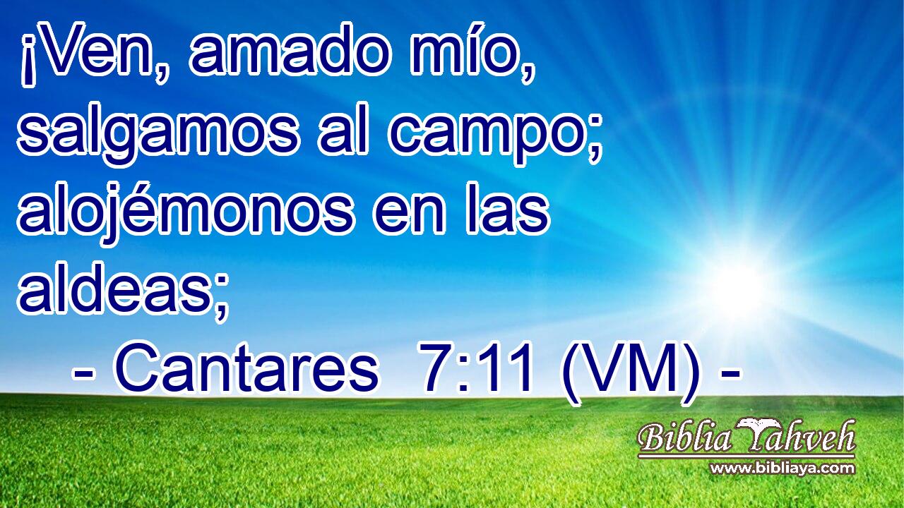  ¡Ven, amado mío, salgamos al campo;  alojémonos en las aldeas; 