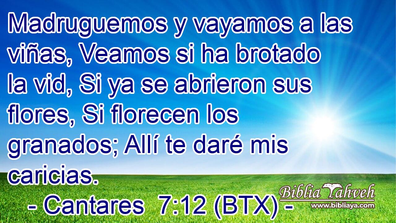 Madruguemos y vayamos a las viñas, Veamos si ha brotado la vid, Si ya se abrieron sus flores, Si florecen los granados; Allí te daré mis caricias.