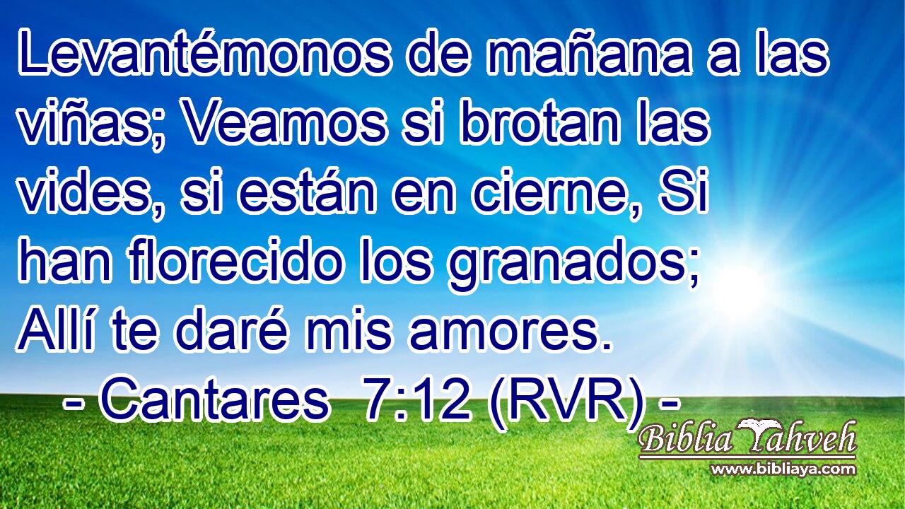 Cantares 7:12 (RVR) - Levantémonos de mañana a las viñas; Veam...