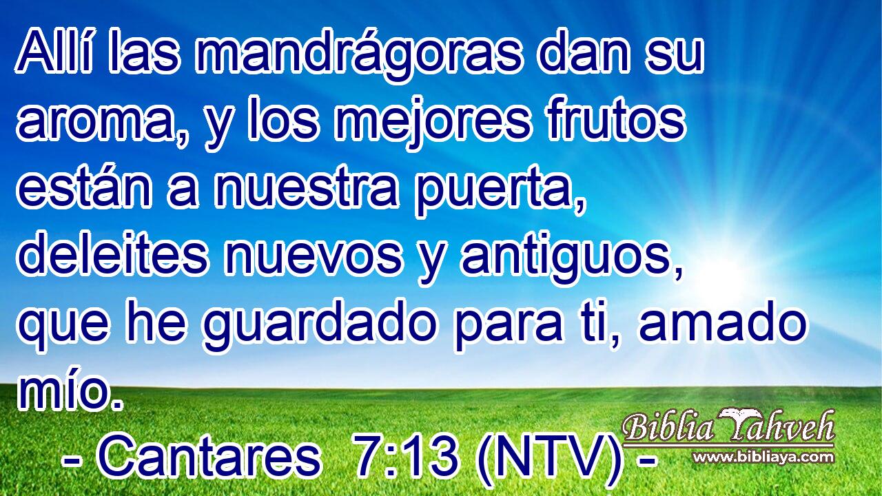 Allí las mandrágoras dan su aroma, y los mejores frutos están a nuestra puerta, deleites nuevos y antiguos, que he guardado para ti, amado mío.