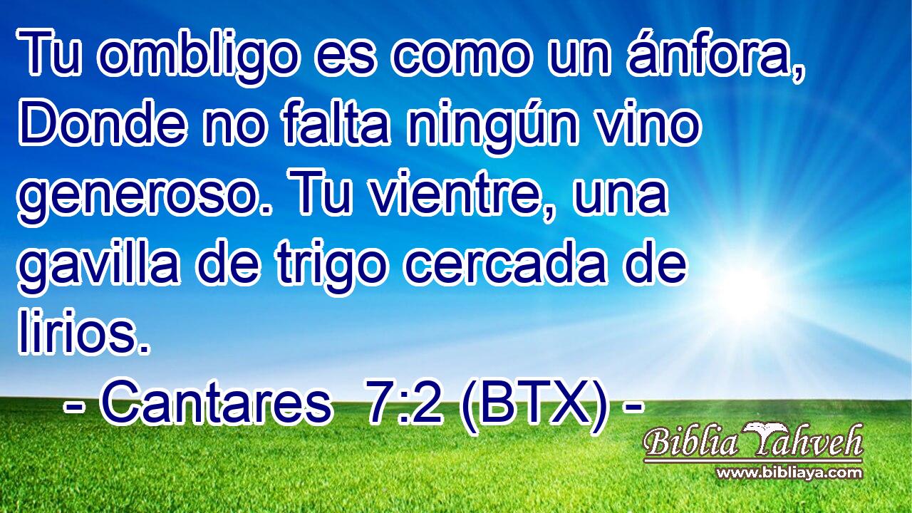 Tu ombligo es como un ánfora, Donde no falta ningún vino generoso. Tu vientre, una gavilla de trigo cercada de lirios.