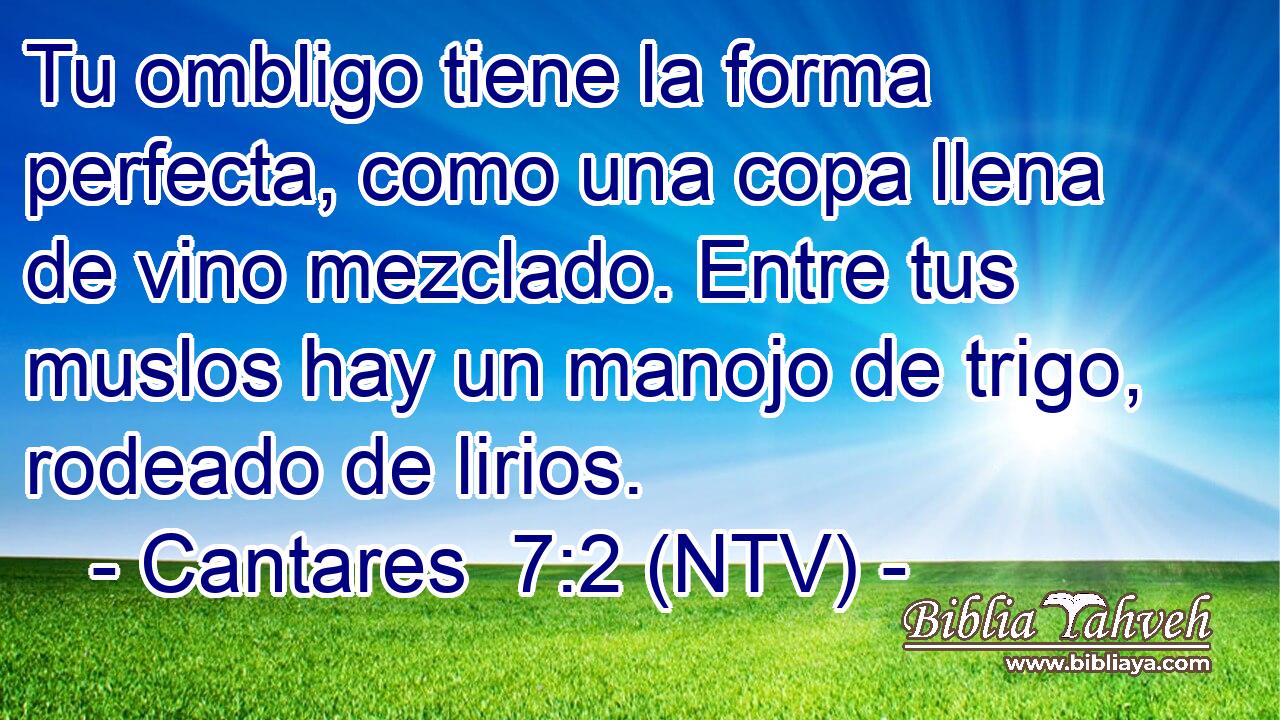 Tu ombligo tiene la forma perfecta, como una copa llena de vino mezclado. Entre tus muslos hay un manojo de trigo, rodeado de lirios.