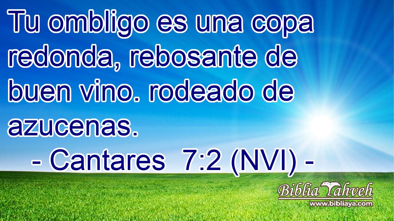  Tu ombligo es una copa redonda, rebosante de buen vino. rodeado de azucenas. 