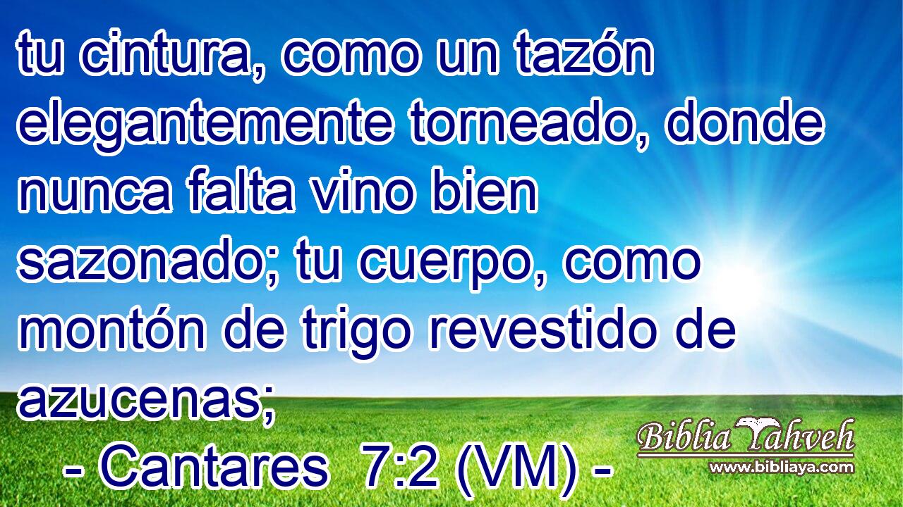  tu cintura, como un tazón elegantemente torneado, donde nunca falta vino bien sazonado; tu cuerpo, como montón de trigo revestido de azucenas; 
