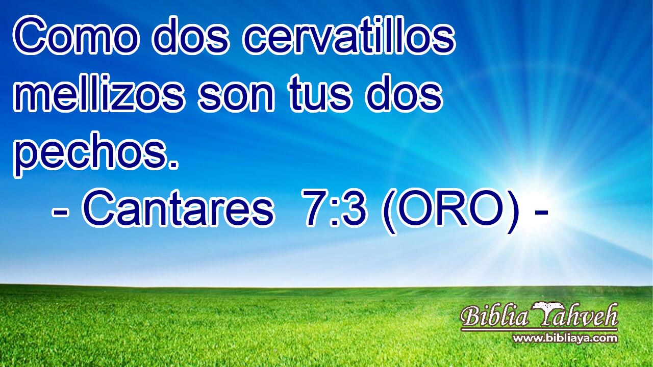  Como dos cervatillos mellizos son tus dos pechos. 