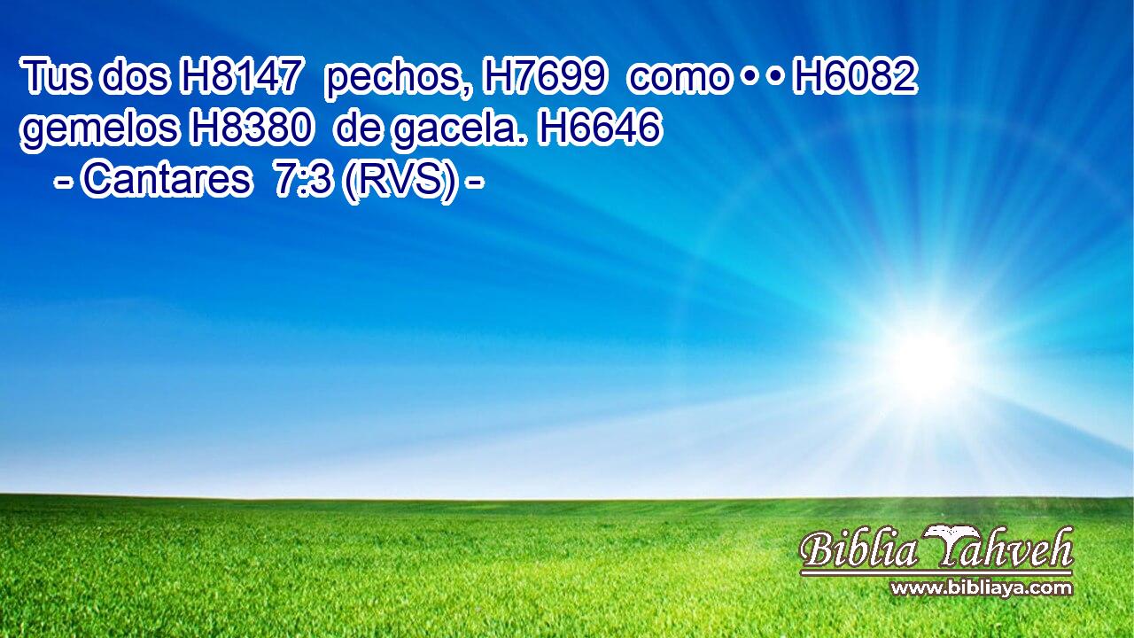 Tus dos H8147  pechos, H7699  como • • H6082  gemelos H8380  de gacela. H6646  