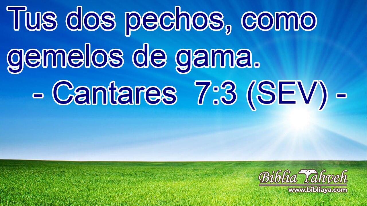 Tus dos pechos, como gemelos de gama.