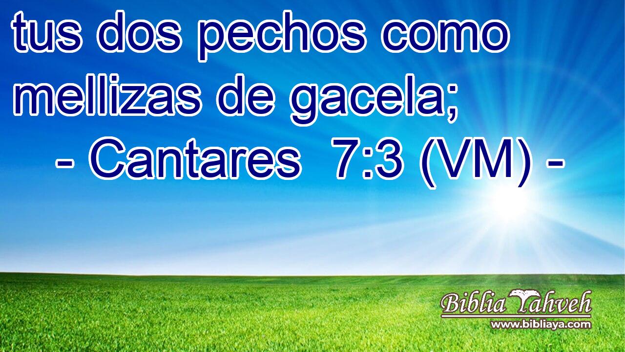  tus dos pechos como mellizas de gacela; 