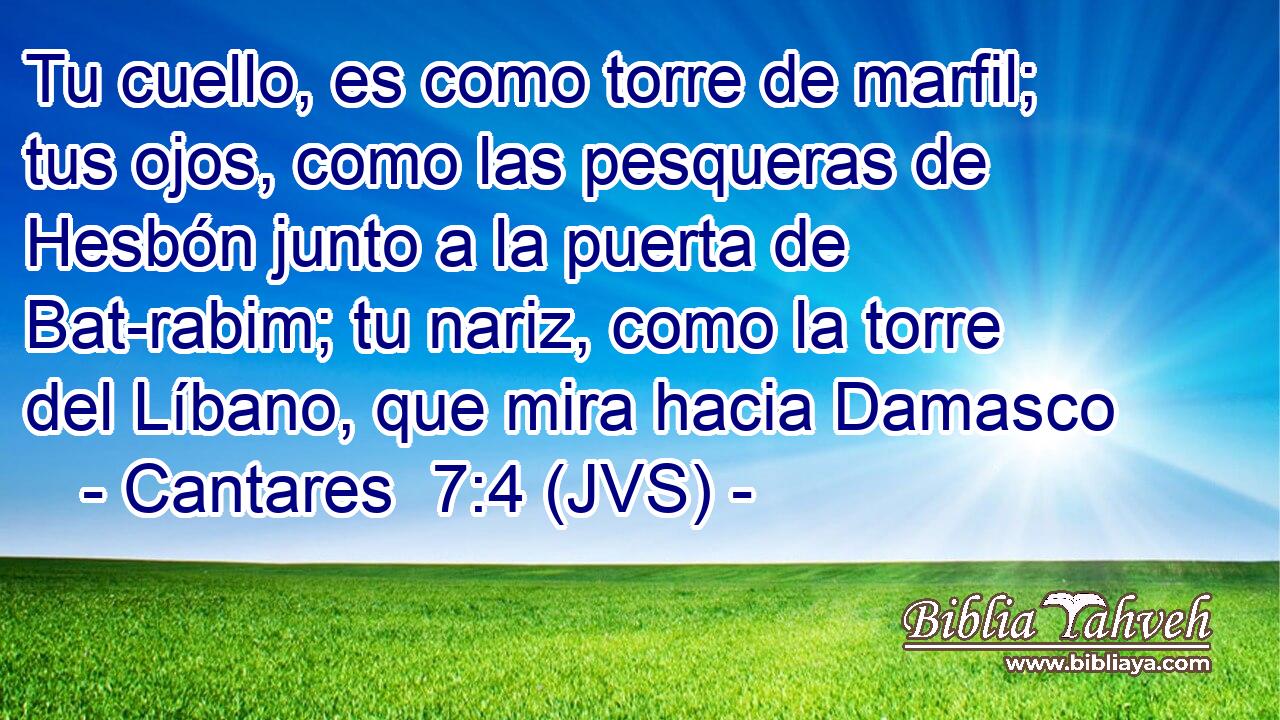Tu cuello, es como torre de marfil; tus ojos, como las pesqueras de Hesbón junto a la puerta de Bat-rabim; tu nariz, como la torre del Líbano, que mira hacia Damasco