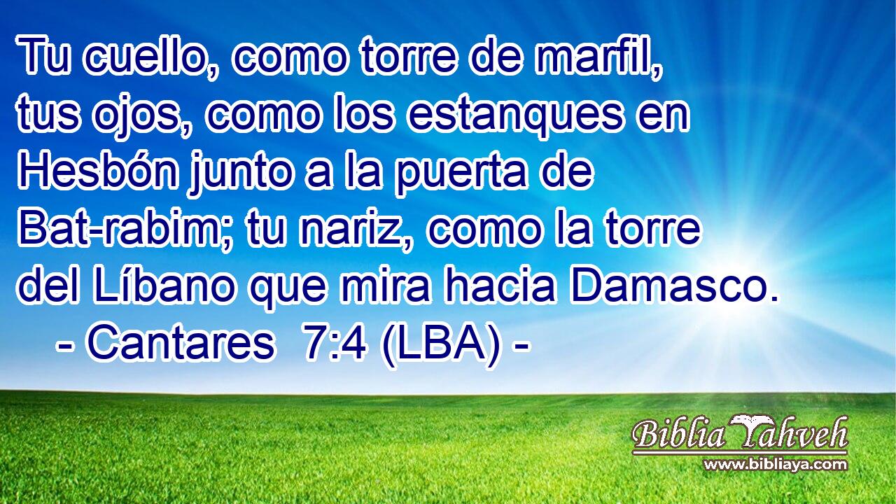 Tu cuello, como torre de marfil, tus ojos, como los estanques en Hesbón junto a la puerta de Bat-rabim; tu nariz, como la torre del Líbano que mira hacia Damasco.