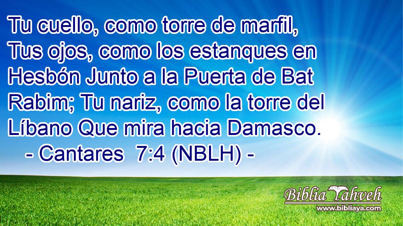  Tu cuello, como torre de marfil, Tus ojos, como los estanques en Hesbón Junto a la Puerta de Bat Rabim; Tu nariz, como la torre del Líbano Que mira hacia Damasco. 