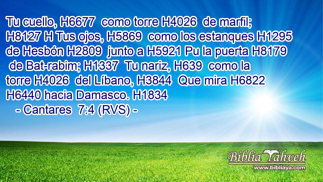 Tu cuello, H6677  como torre H4026  de marfil; H8127 H Tus ojos, H5869  como los estanques H1295  de Hesbón H2809  junto a H5921 Pu la puerta H8179  de Bat-rabim; H1337  Tu nariz, H639  como la torre H4026  del Líbano, H3844  Que mira H6822  H6440 hacia Damasco. H1834  