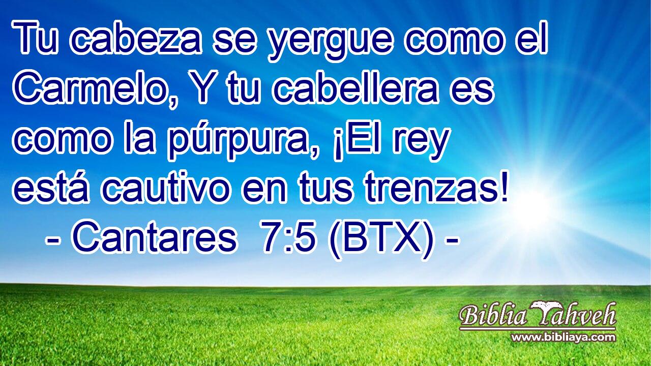 Tu cabeza se yergue como el Carmelo, Y tu cabellera es como la púrpura, ¡El rey está cautivo en tus trenzas!