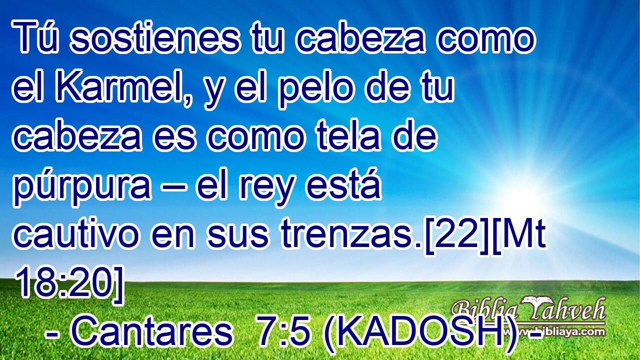  Tú sostienes tu cabeza como el Karmel, y el pelo de tu cabeza es como tela de púrpura – el rey está cautivo en sus trenzas.[22][Mt 18:20] 
