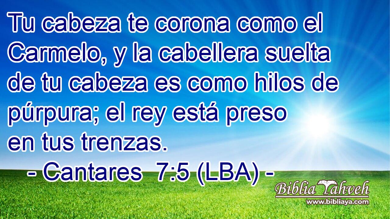 Tu cabeza te corona como el Carmelo, y la cabellera suelta de tu cabeza es como hilos de púrpura; el rey está preso en tus trenzas.