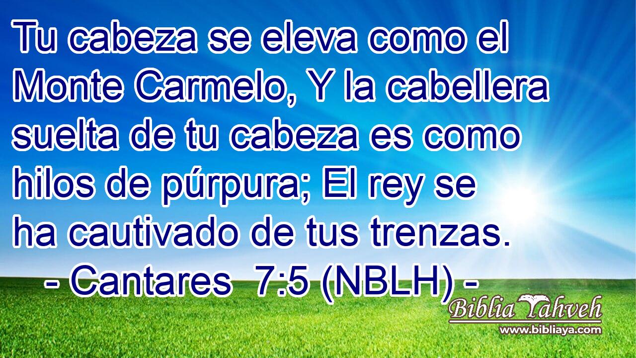  Tu cabeza se eleva como el Monte Carmelo, Y la cabellera suelta de tu cabeza es como hilos de púrpura; El rey se ha cautivado de tus trenzas. 