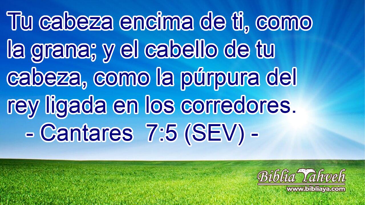 Tu cabeza encima de ti, como la grana; y el cabello de tu cabeza, como la púrpura del rey ligada en los corredores.