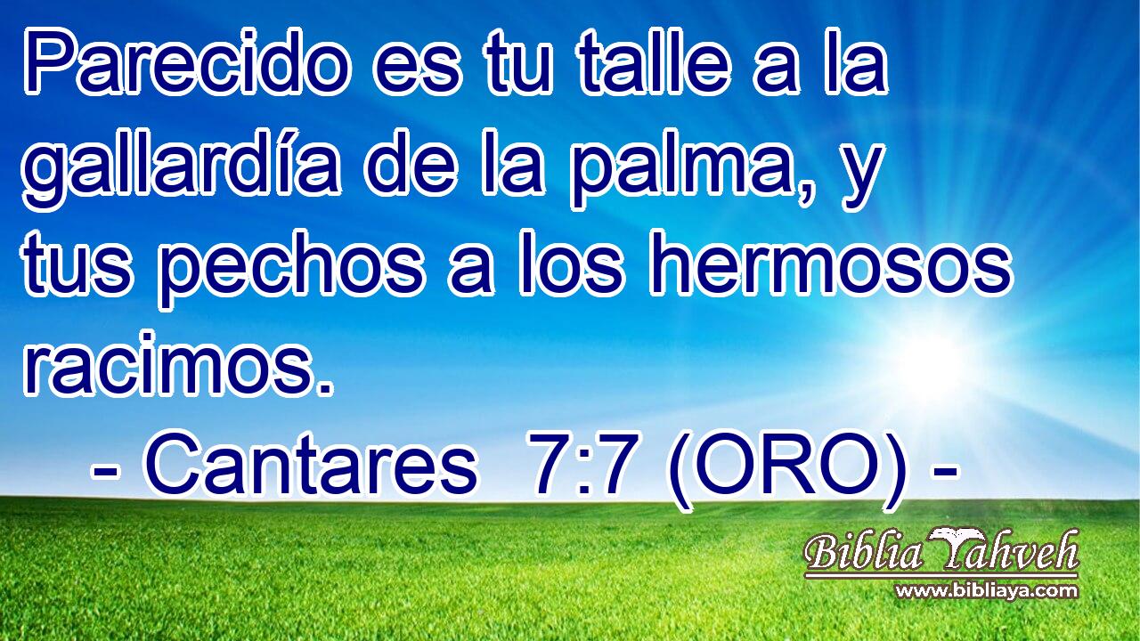  Parecido es tu talle a la gallardía de la palma, y tus pechos a los hermosos racimos. 