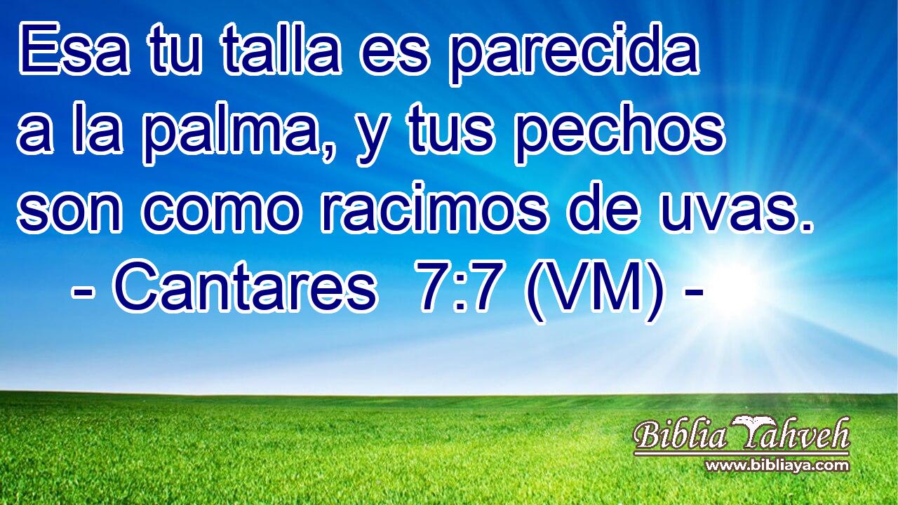  Esa tu talla es parecida a la palma, y tus pechos son como racimos de uvas. 