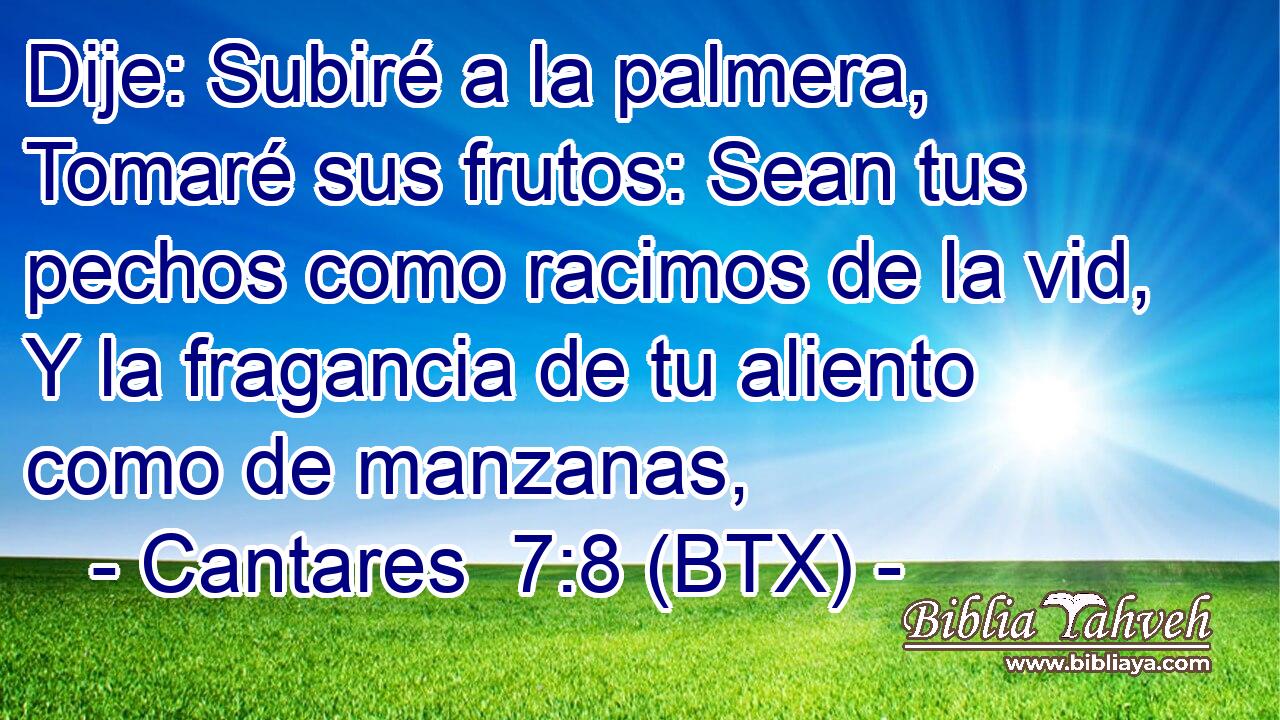 Dije: Subiré a la palmera, Tomaré sus frutos: Sean tus pechos como racimos de la vid, Y la fragancia de tu aliento como de manzanas,