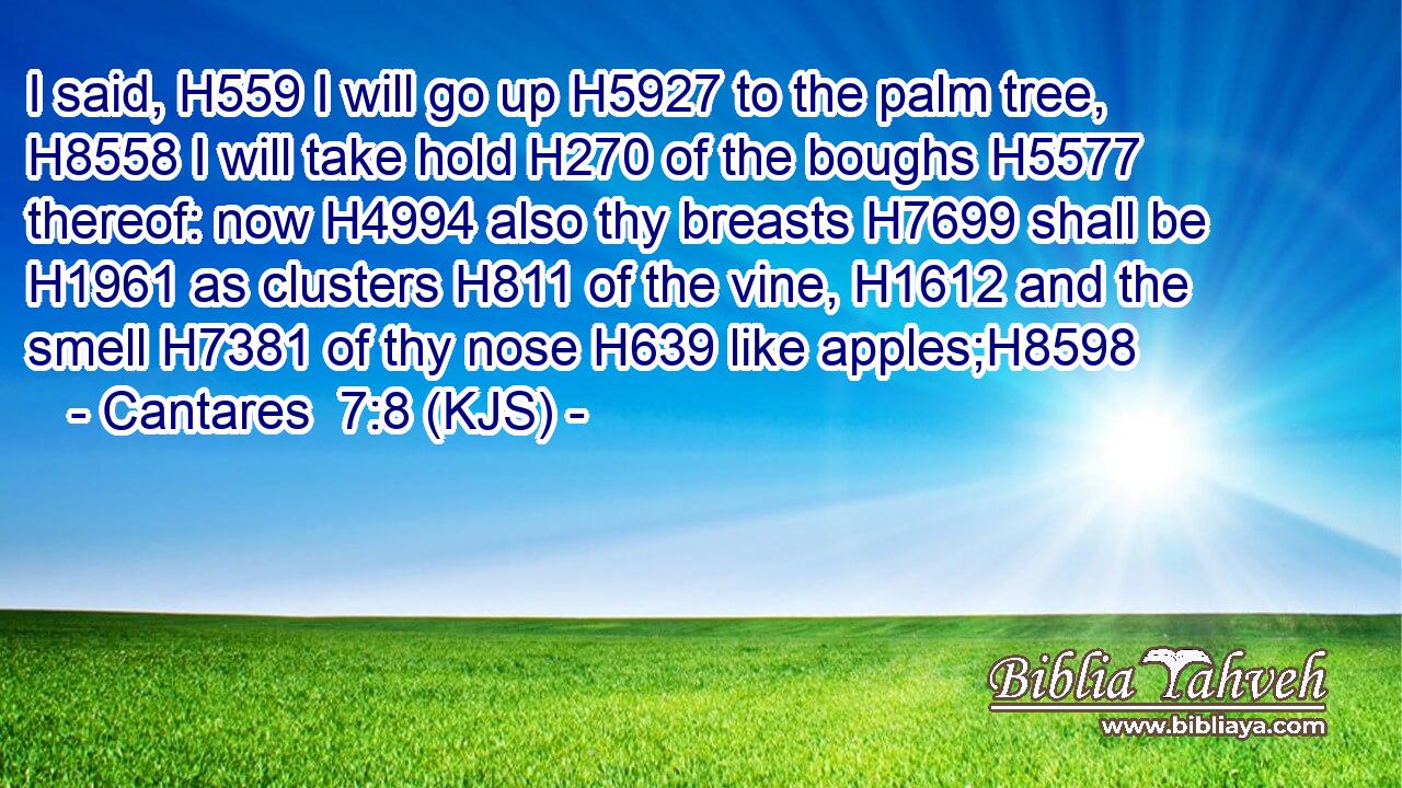 I said, H559 I will go up H5927 to the palm tree, H8558 I will take hold H270 of the boughs H5577 thereof: now H4994 also thy breasts H7699 shall be H1961 as clusters H811 of the vine, H1612 and the smell H7381 of thy nose H639 like apples;H8598