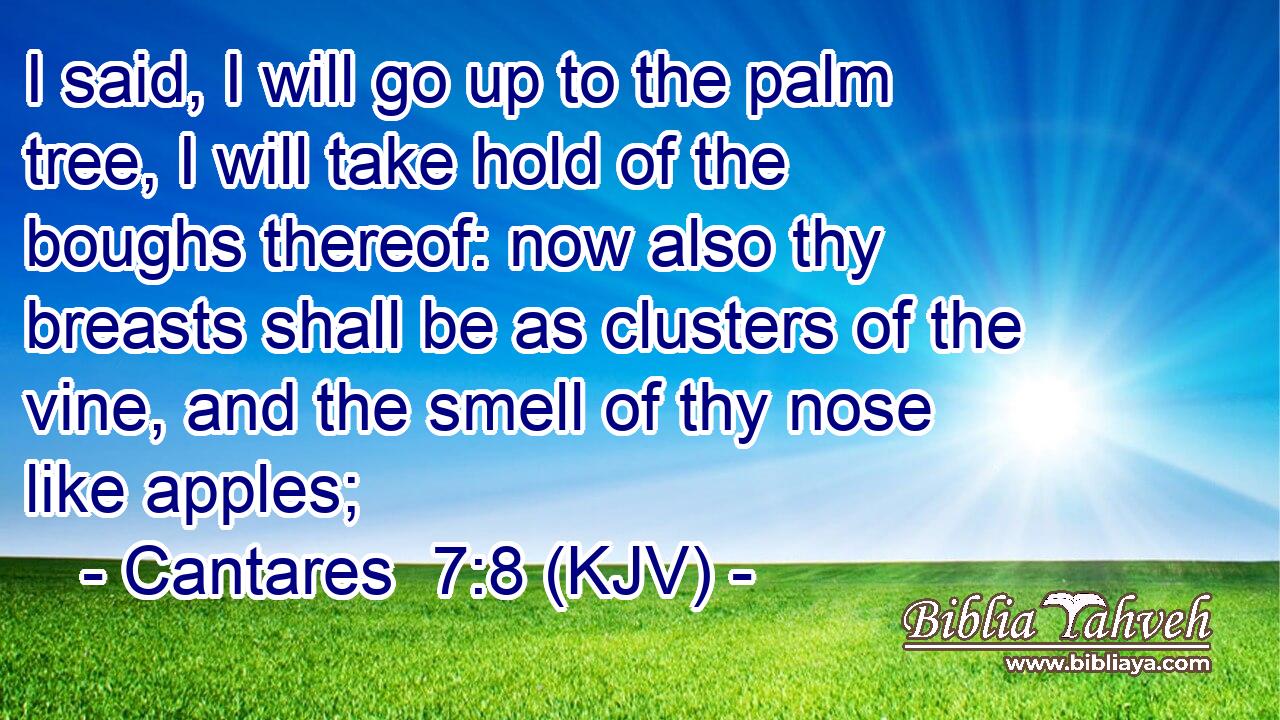 I said, I will go up to the palm tree, I will take hold of the boughs thereof: now also thy breasts shall be as clusters of the vine, and the smell of thy nose like apples;