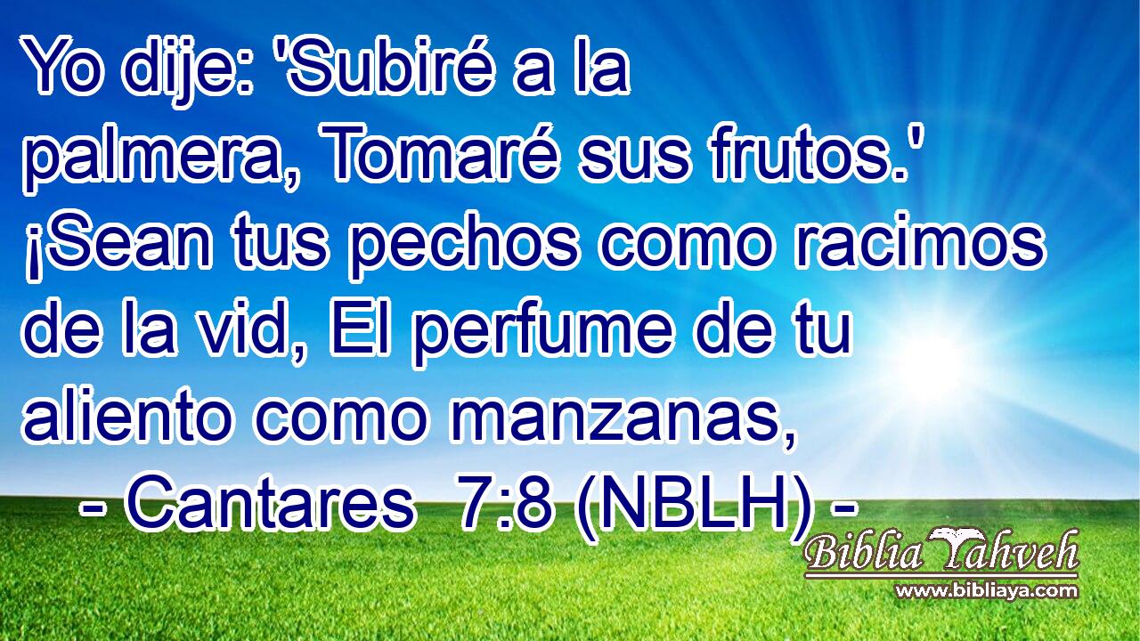  Yo dije: 'Subiré a la palmera, Tomaré sus frutos.' ¡Sean tus pechos como racimos de la vid, El perfume de tu aliento como manzanas, 
