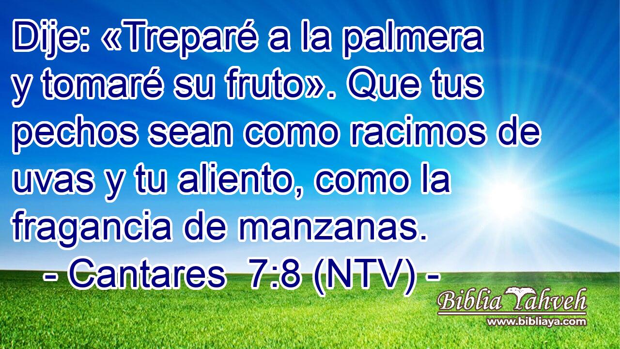 Dije: «Treparé a la palmera y tomaré su fruto». Que tus pechos sean como racimos de uvas y tu aliento, como la fragancia de manzanas.