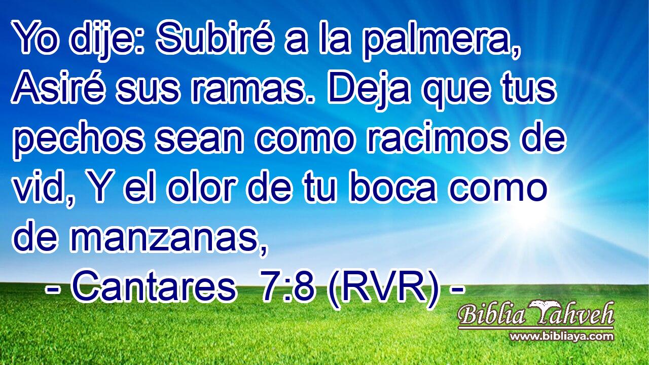 Yo dije: Subiré a la palmera, Asiré sus ramas. Deja que tus pechos sean como racimos de vid, Y el olor de tu boca como de manzanas,