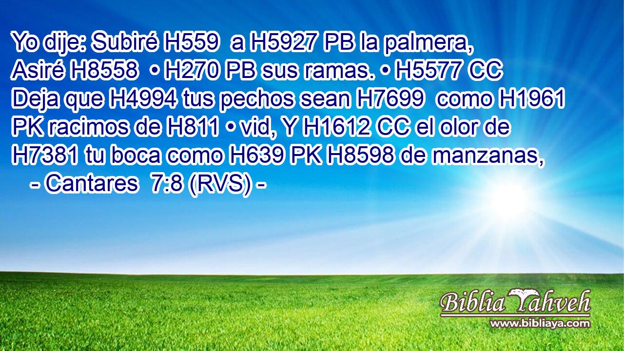 Yo dije: Subiré H559  a H5927 PB la palmera, Asiré H8558  • H270 PB sus ramas. • H5577 CC Deja que H4994 tus pechos sean H7699  como H1961 PK racimos de H811 • vid, Y H1612 CC el olor de H7381 tu boca como H639 PK H8598 de manzanas, 