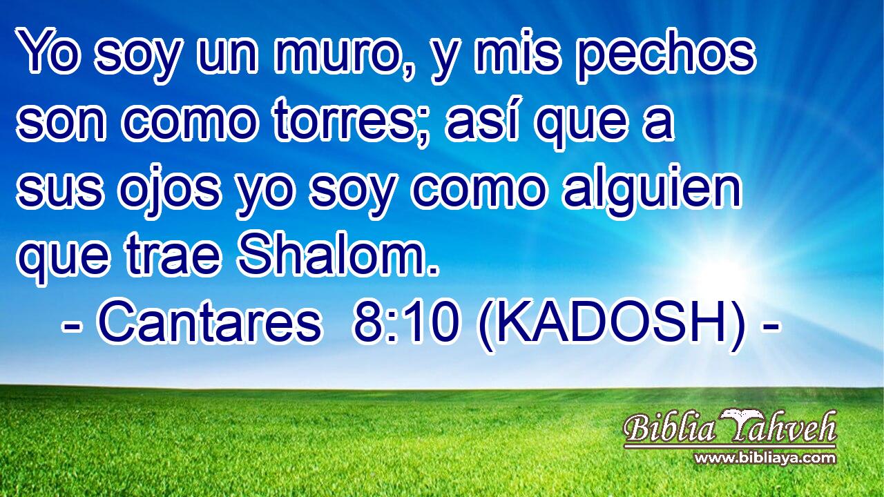  Yo soy un muro, y mis pechos son como torres; así que a sus ojos yo soy como alguien que trae Shalom. 