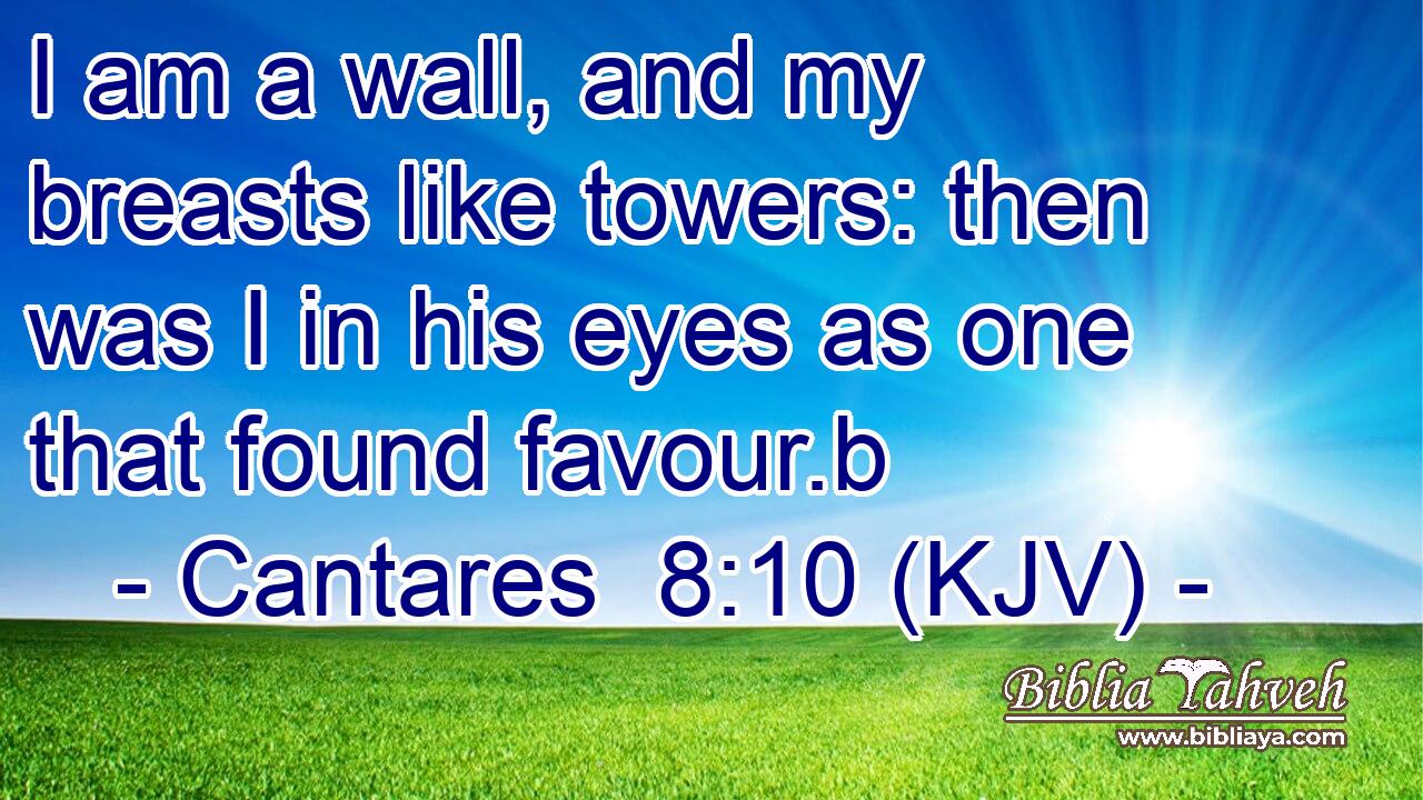 I am a wall, and my breasts like towers: then was I in his eyes as one that found favour.b