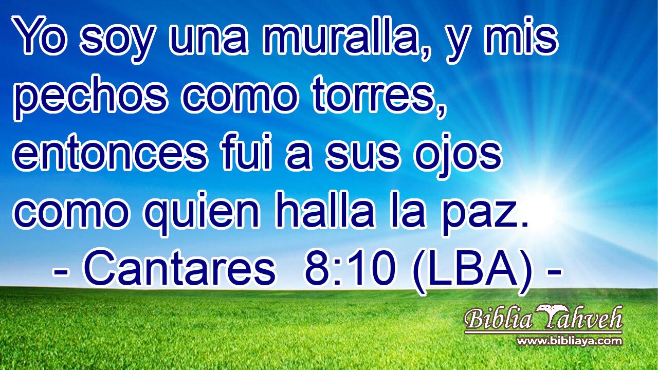 Yo soy una muralla, y mis pechos como torres, entonces fui a sus ojos como quien halla la paz.