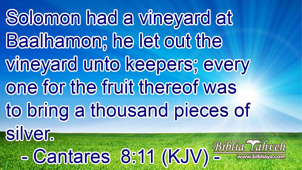 Solomon had a vineyard at Baalhamon; he let out the vineyard unto keepers; every one for the fruit thereof was to bring a thousand pieces of silver.