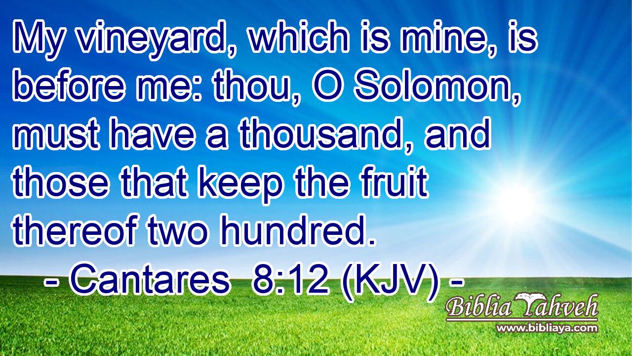 My vineyard, which is mine, is before me: thou, O Solomon, must have a thousand, and those that keep the fruit thereof two hundred.