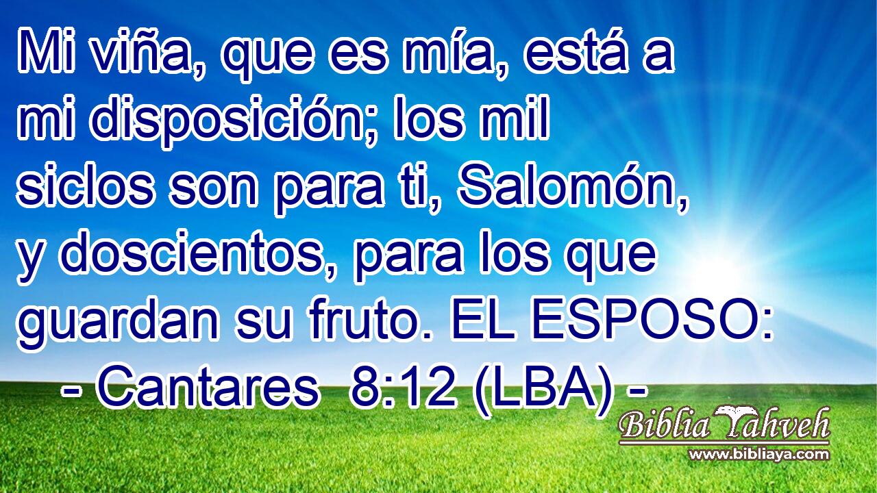 Mi viña, que es mía, está a mi disposición; los mil siclos son para ti, Salomón, y doscientos, para los que guardan su fruto. EL ESPOSO: