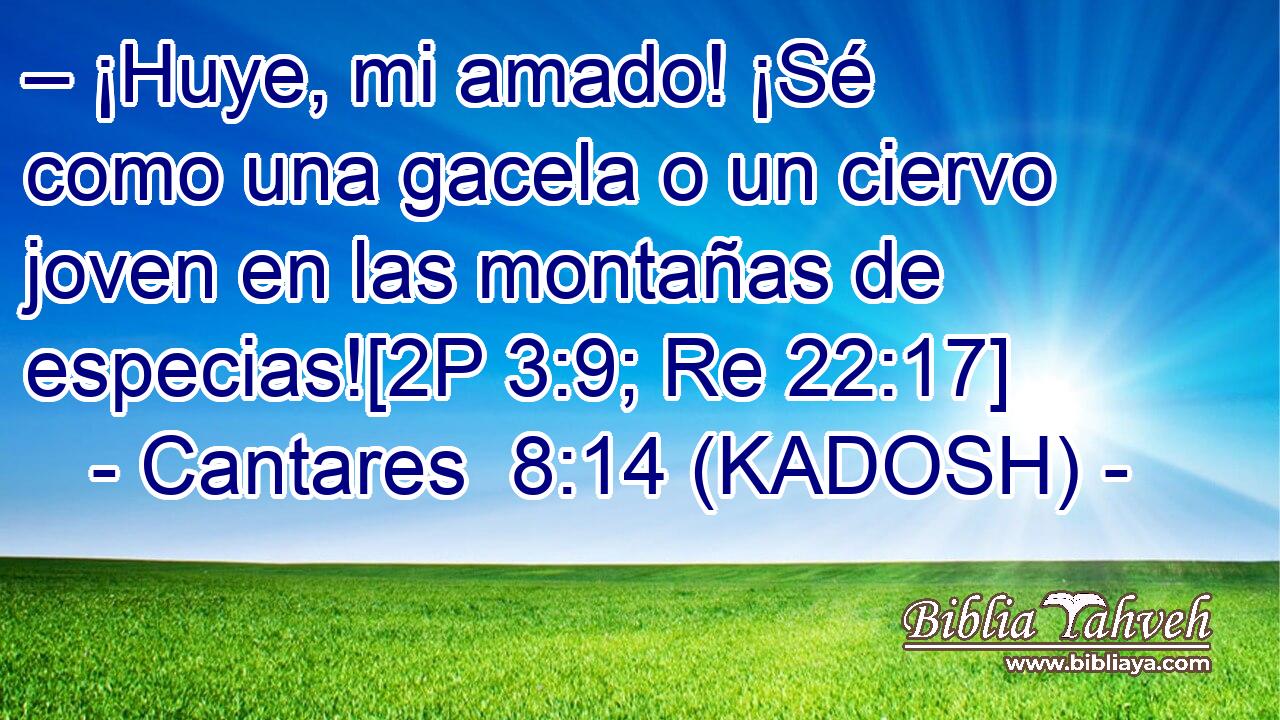  – ¡Huye, mi amado! ¡Sé como una gacela o un ciervo joven en las montañas de especias![2P 3:9; Re 22:17] 