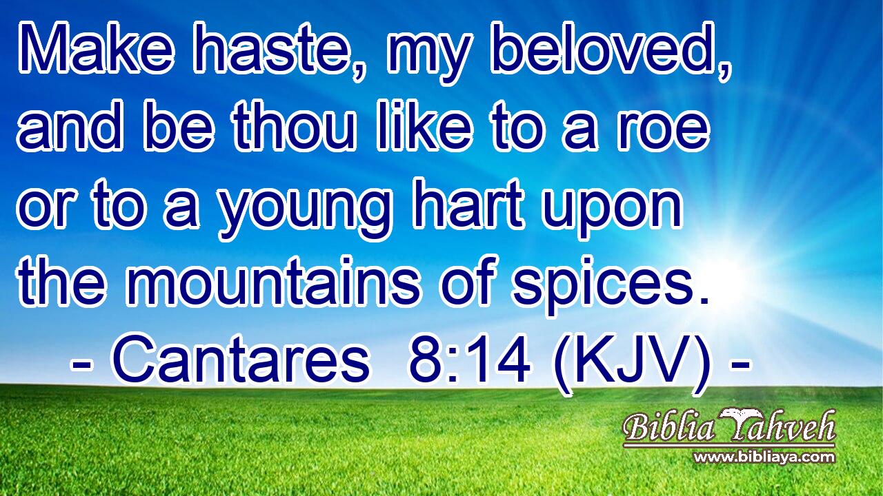 Make haste, my beloved, and be thou like to a roe or to a young hart upon the mountains of spices.