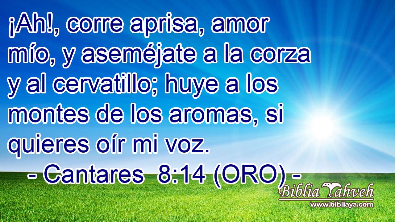  ¡Ah!, corre aprisa, amor mío, y aseméjate a la corza y al cervatillo; huye a los montes de los aromas, si quieres oír mi voz. 