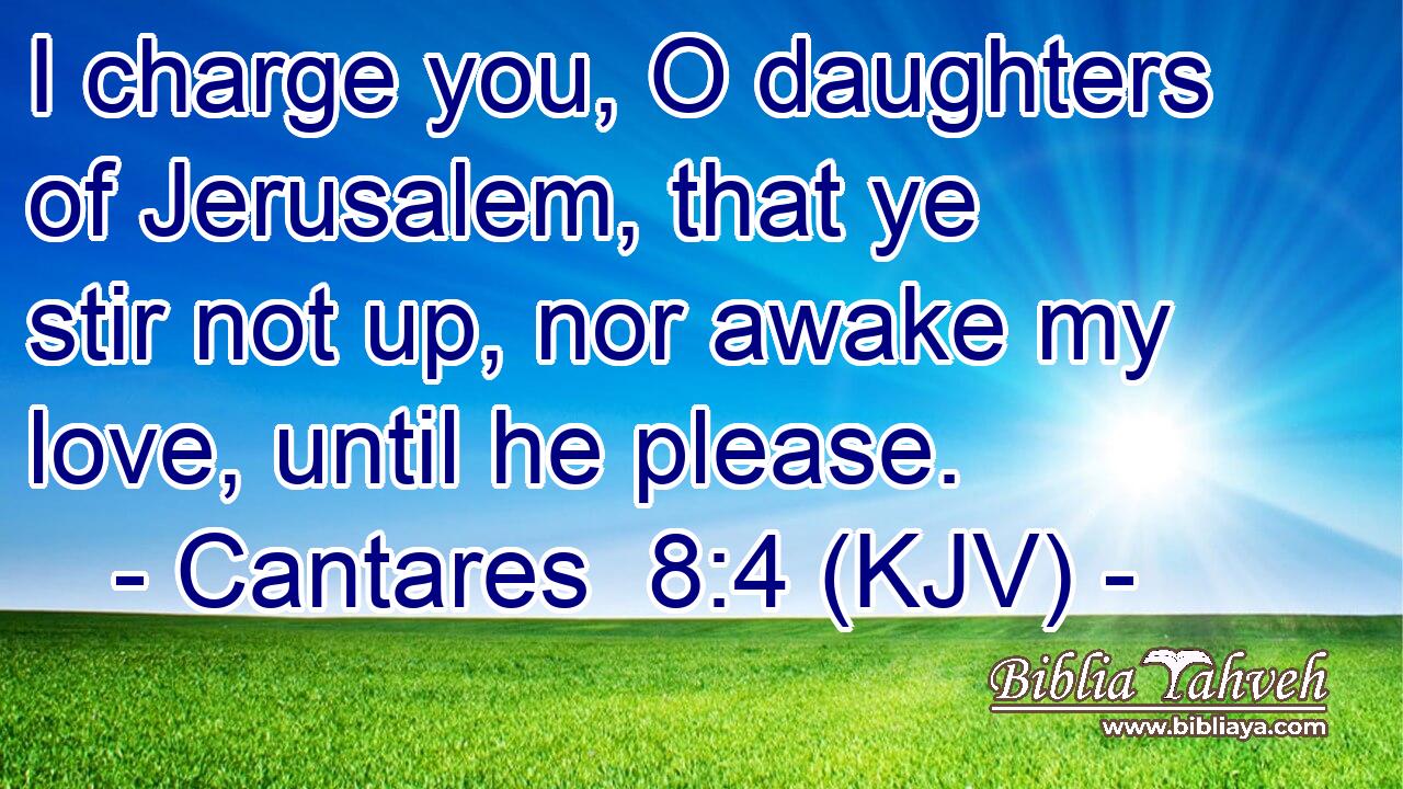 I charge you, O daughters of Jerusalem, that ye stir not up, nor awake my love, until he please.